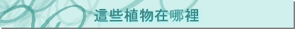 �o�ǴӪ��b����